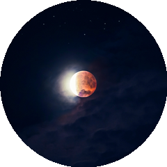 laui 크리에이터 프로필